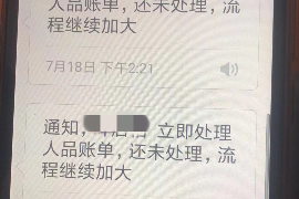 响水债务清欠服务